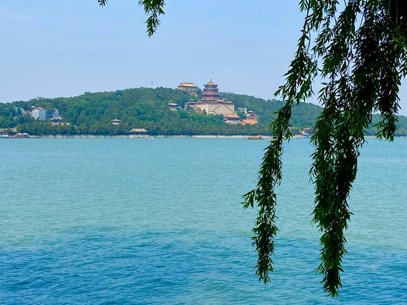 Kunming English private guide Stone Forest and Dianchi Lake
